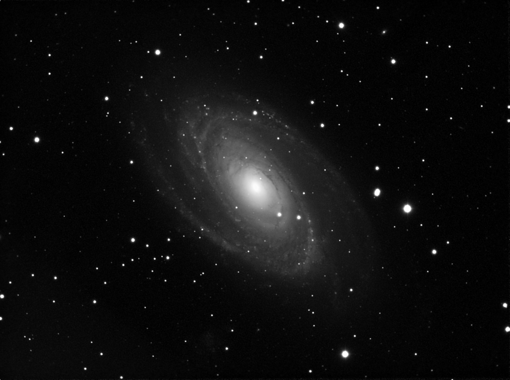 M81_Luminance.thumb.png.7d06b4981db7db5ba8d8d7b9204dff86.png