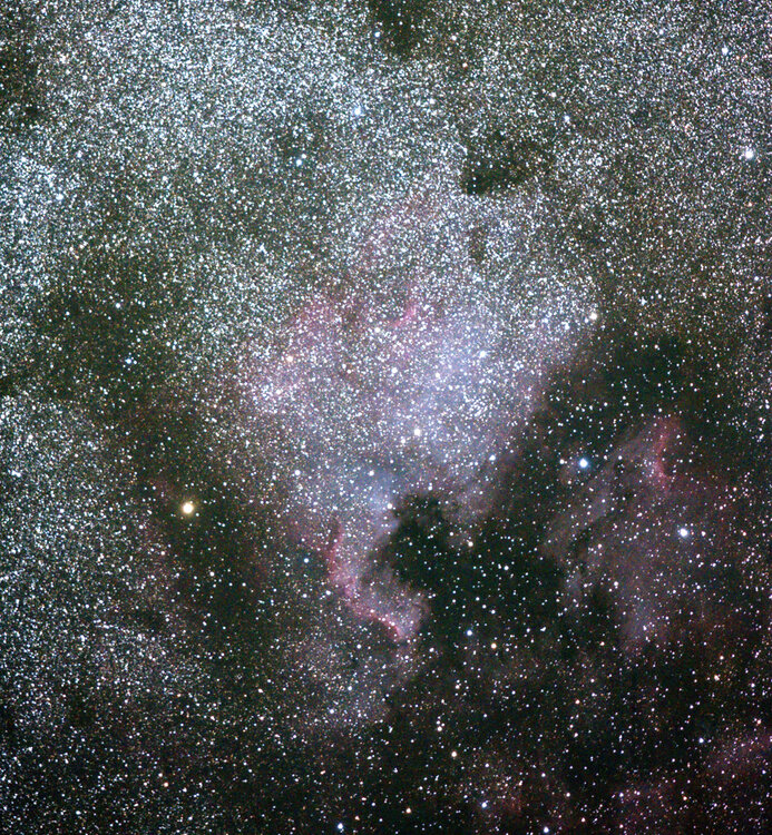 NGC7000.thumb.jpg.01336a03be1a7836ff5ea3704305bb85.jpg