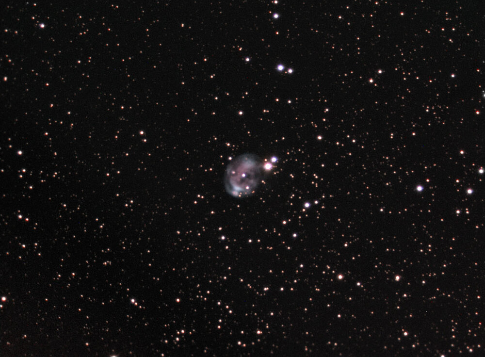 Ngc7008_Fetus_Nebula__C11_eq6_F_6_3_Atik_314l.thumb.jpg.20e0872b69e42eee026655090c48e6b3.jpg