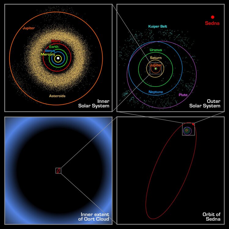 Oort_cloud_Sedna_orbit.thumb.jpg.8dcb1a454b9bff22937359a16b4f6e48.jpg