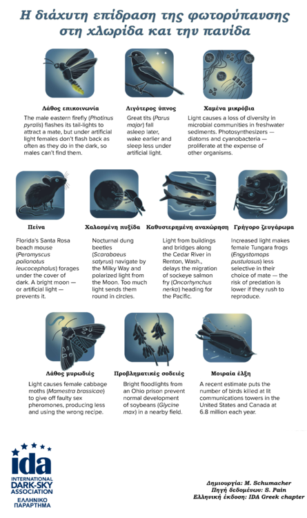 Pervasive-influence-of-light_pollution-GREEK.thumb.png.2119b5cfd248a746beec1d7fddf14fbc.png