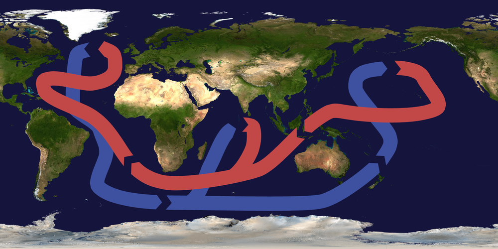 Thermohaline_circulation.thumb.png.6d9bbfa8c90e3defd5943b384ac3d145.png