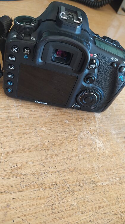 eos7D1.thumb.jpg.5ea1602e59bfb96a0c8d0a7af0877957.jpg