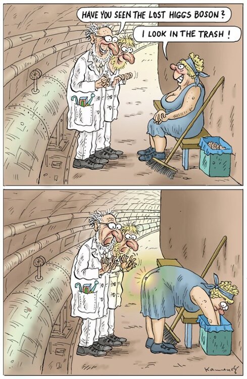 higgs_cartoon7.thumb.jpg.66a792d7199c3defc4fd2602341b7907.jpg