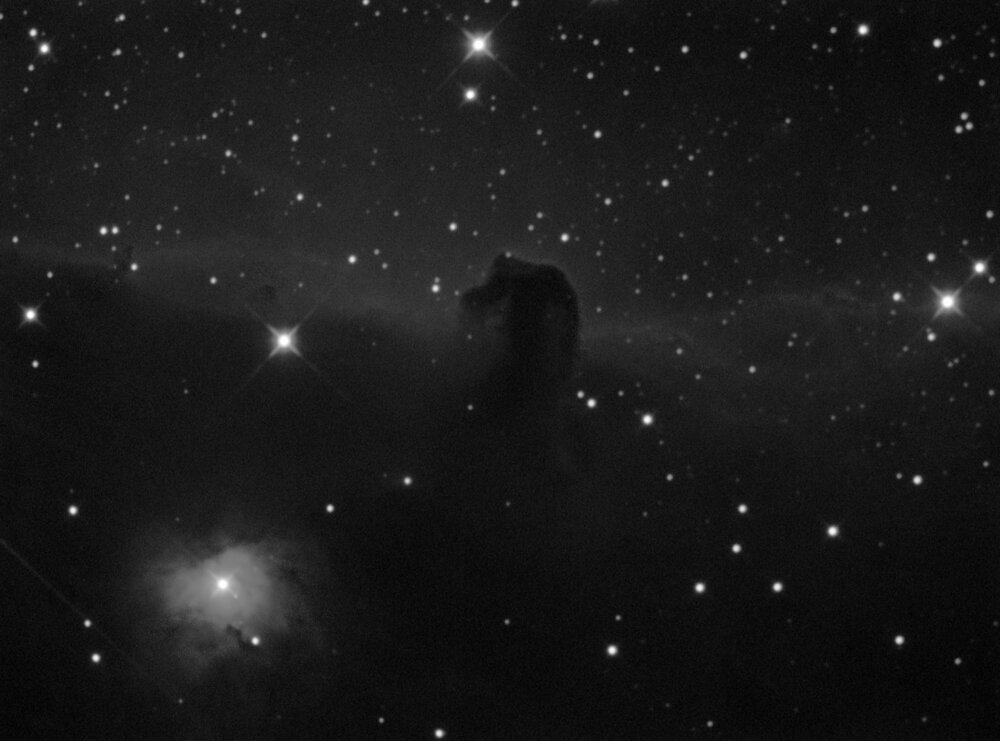 horseheada.thumb.jpg.b82838027ed6b7ca77410954830ab36e.jpg