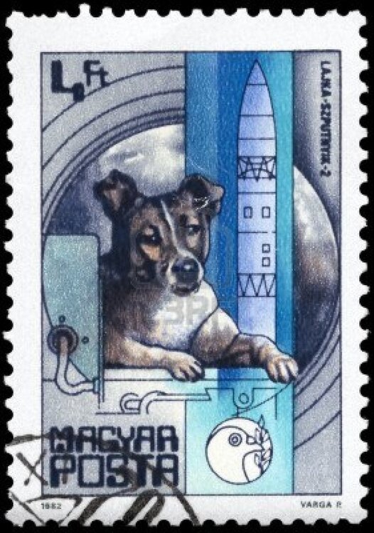 laika-sputnik-2-1957-from-the-series-25-ye.thumb.jpg.8a9ce74e7b53935ae5cf43099704e917.jpg