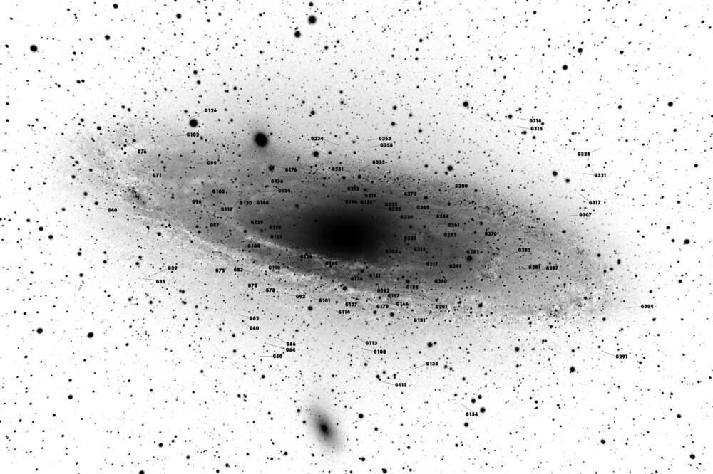 m31globs_inverted_bw.thumb.jpg.7c94b6f95af73429f6a01c16f74557c0.jpg