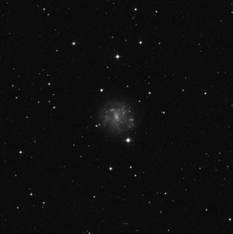 ngc2500.thumb.gif.1c878e7a62d214719e0c965ee8c4986c.gif