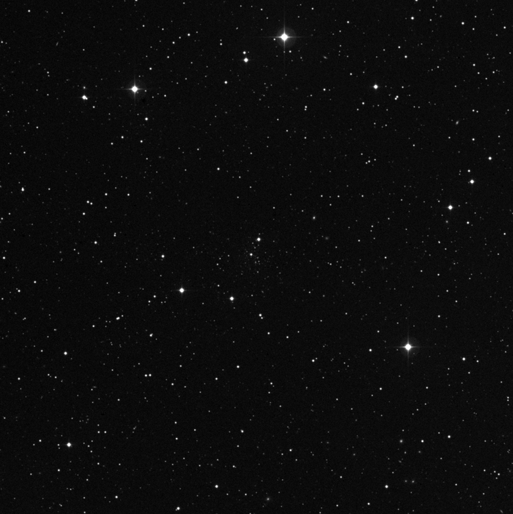 palomar14.thumb.gif.285cf47d73ecce2e571d7e96ba4f40f6.gif