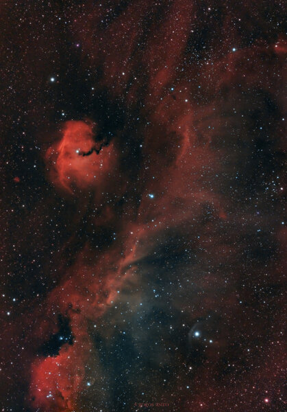 Περισσότερες πληροφορίες για το "Seagull nebula IC 2177"