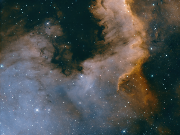 The Cygnus wall