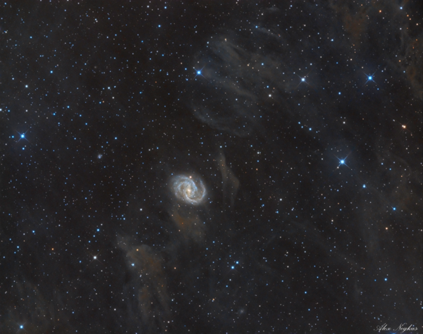 NGC 6951 IN DUST