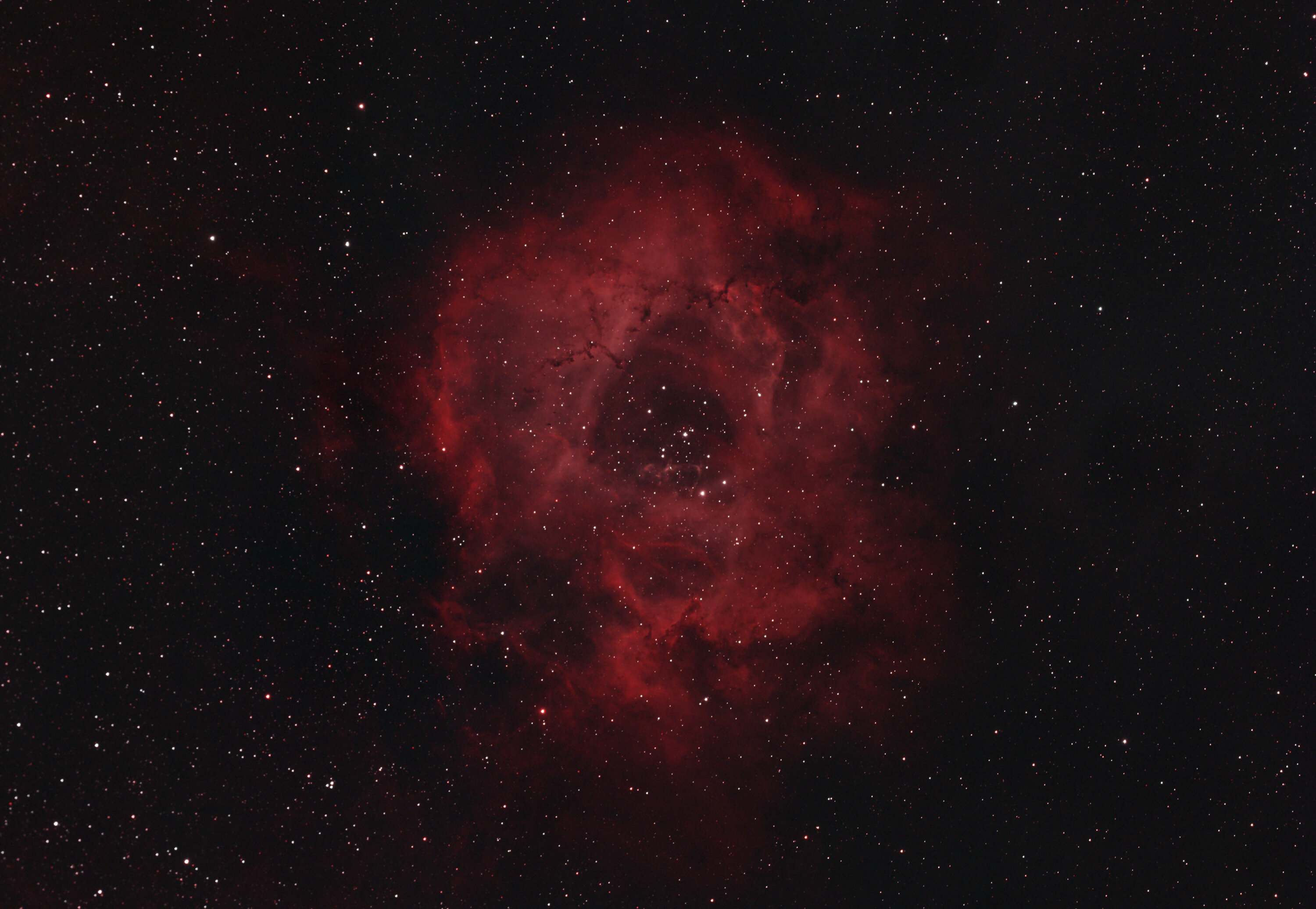 rosette nebula