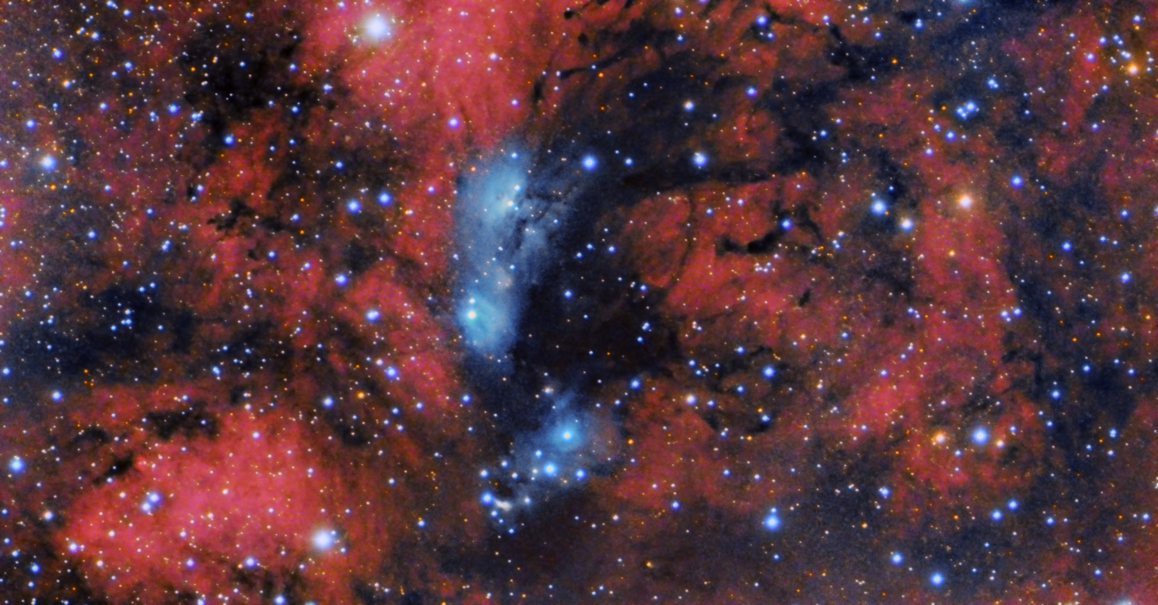 NGC6914, VdB131,132, LBN 273,274,280,281, LDN 897,899