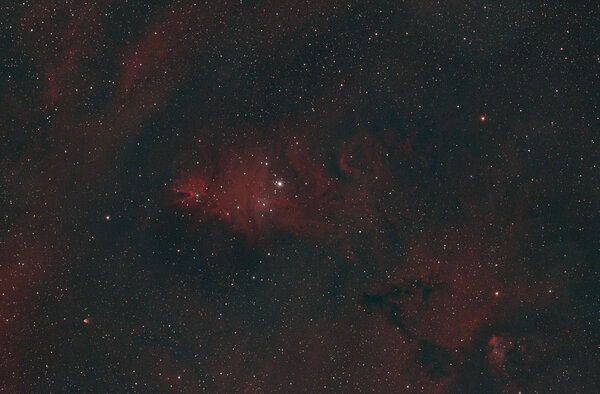 NGC 2264