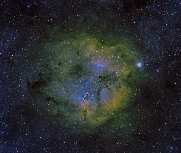 IC 1396