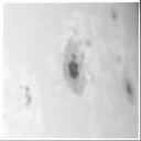 Sunspot region 2975