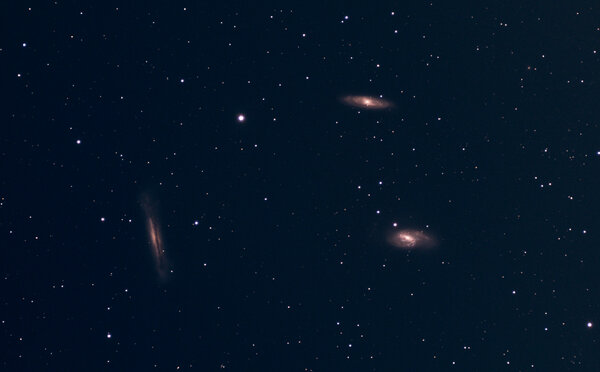 Leo Triplet