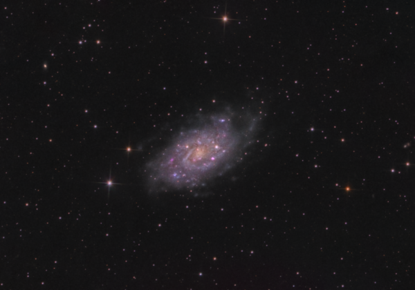 NGC2403_Galaxy.png