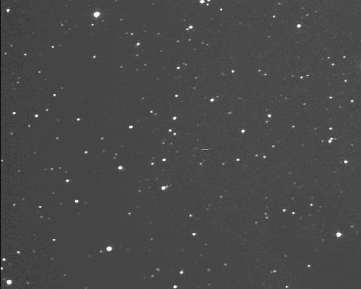 Comet C2020 O2 (Amaral)