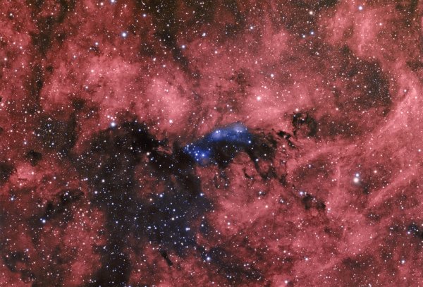 NGC-6914 Reflection Nebula complex in Cygnus