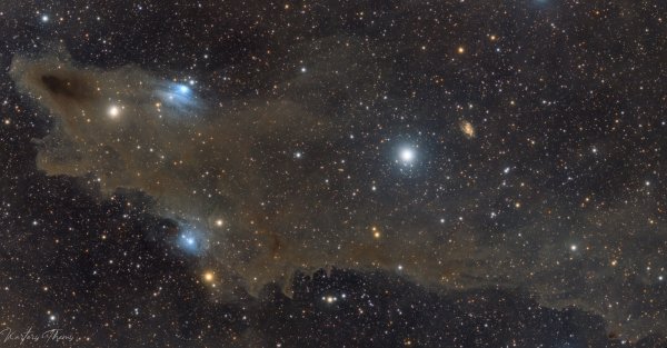 Περισσότερες πληροφορίες για το "LDN 1235 Shark Nebula"