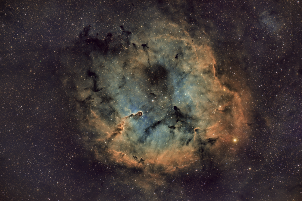 IC1396 Elephant Trunk