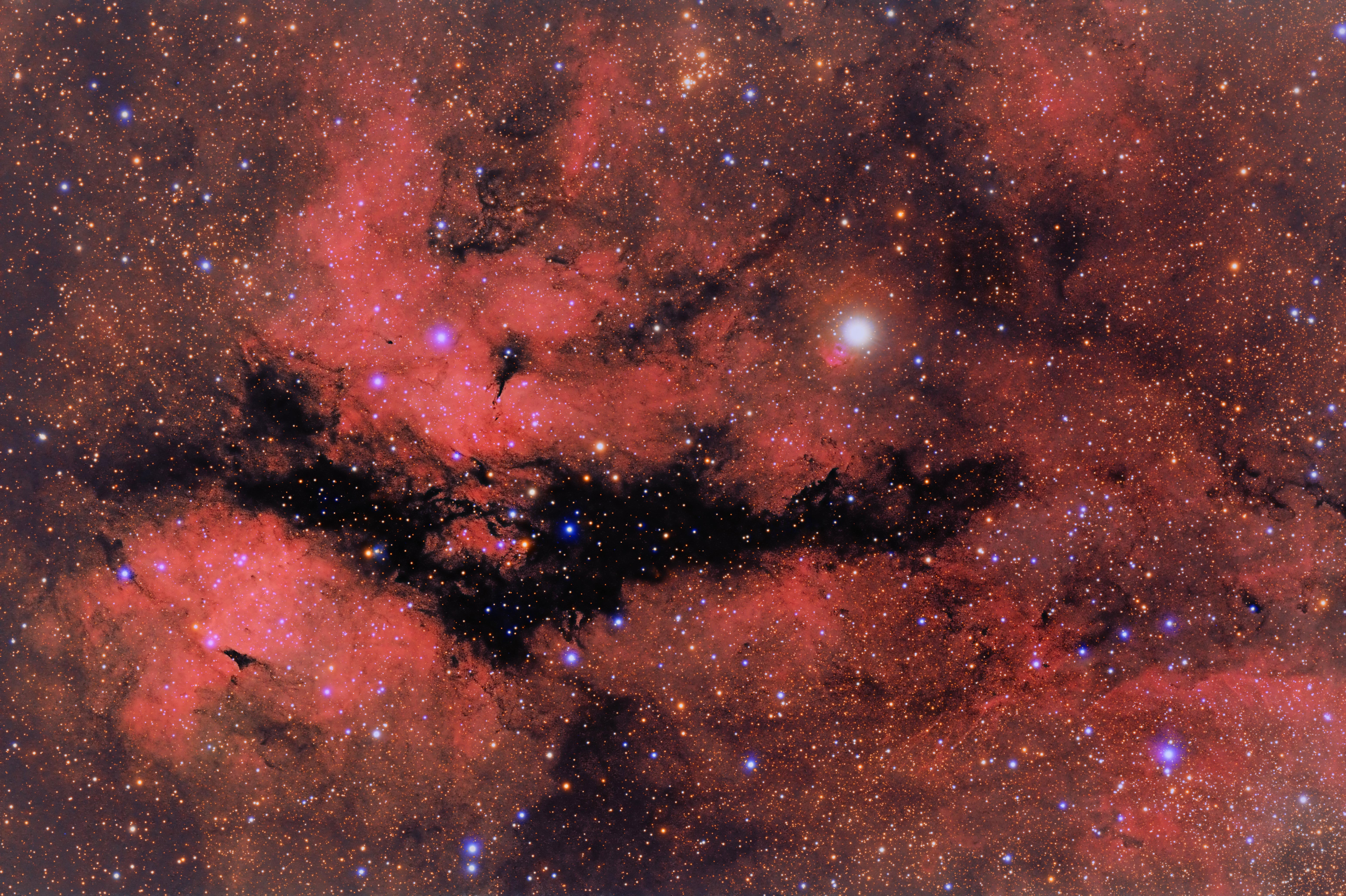 Sadr Area (IC1318, Sadr, NGC6910, LDN889) in Cygnus