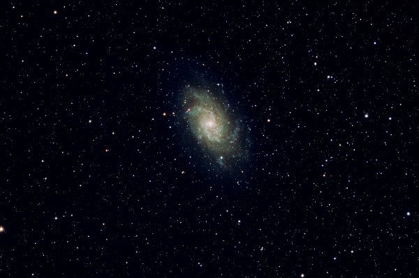 M33