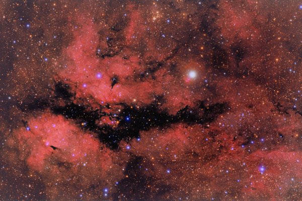 Sadr Area (IC1318, Sadr, NGC6910, LDN889) in Cygnus