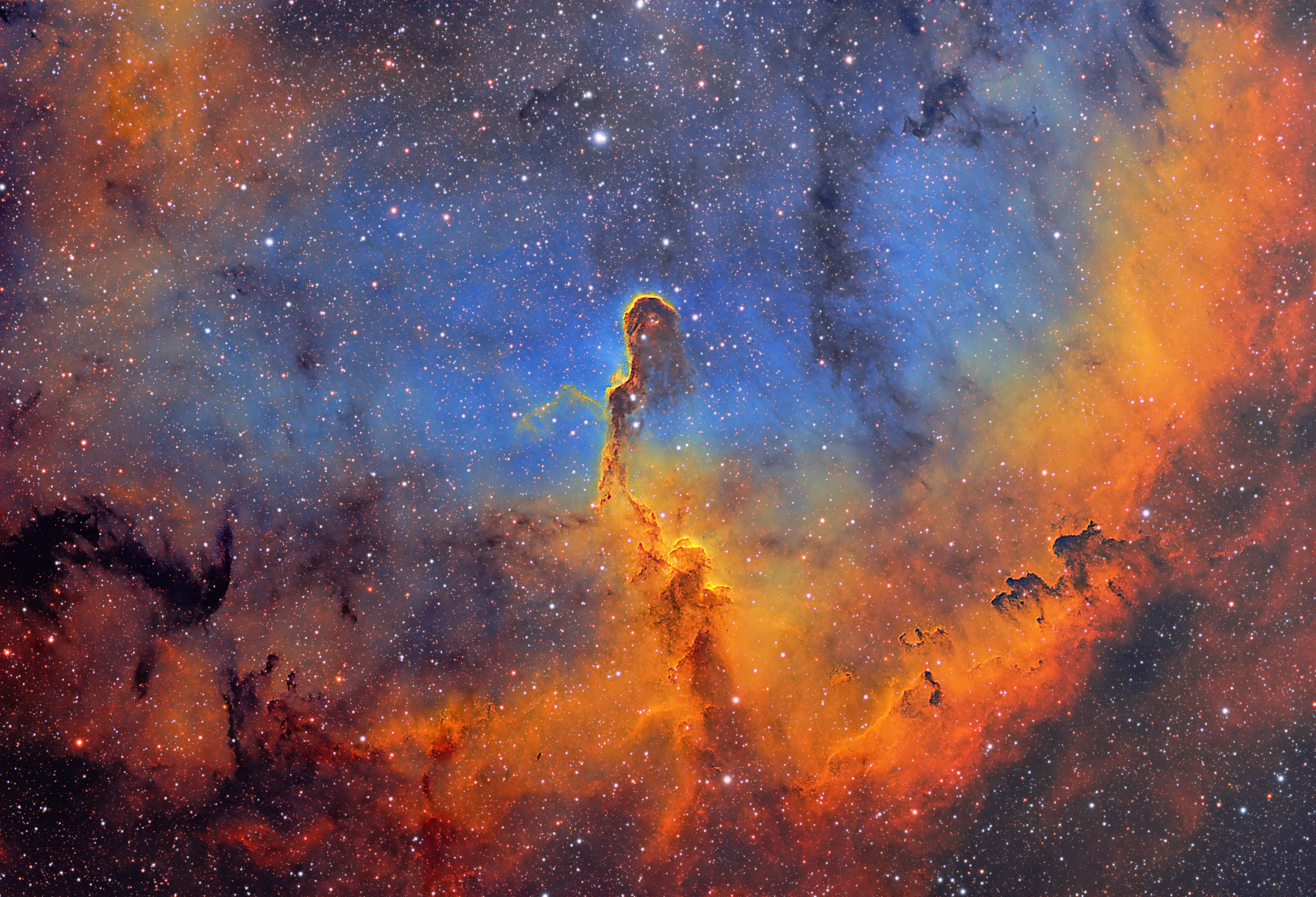 IC-1396 Elephant Trunk Nebula in Cepheus