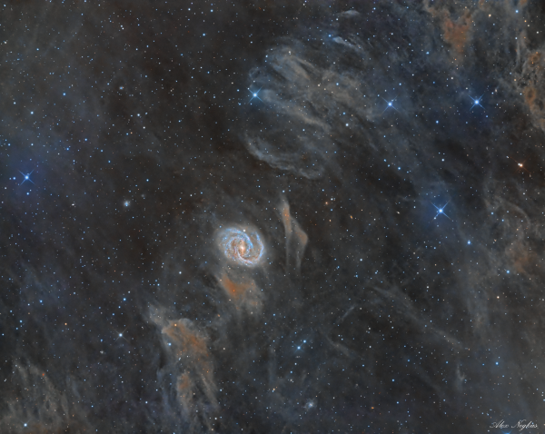 Ngc 6951 In Dust