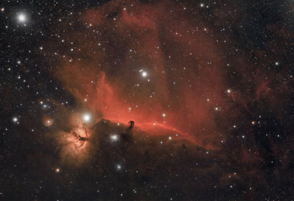 Horsehead & Flame Nebulas