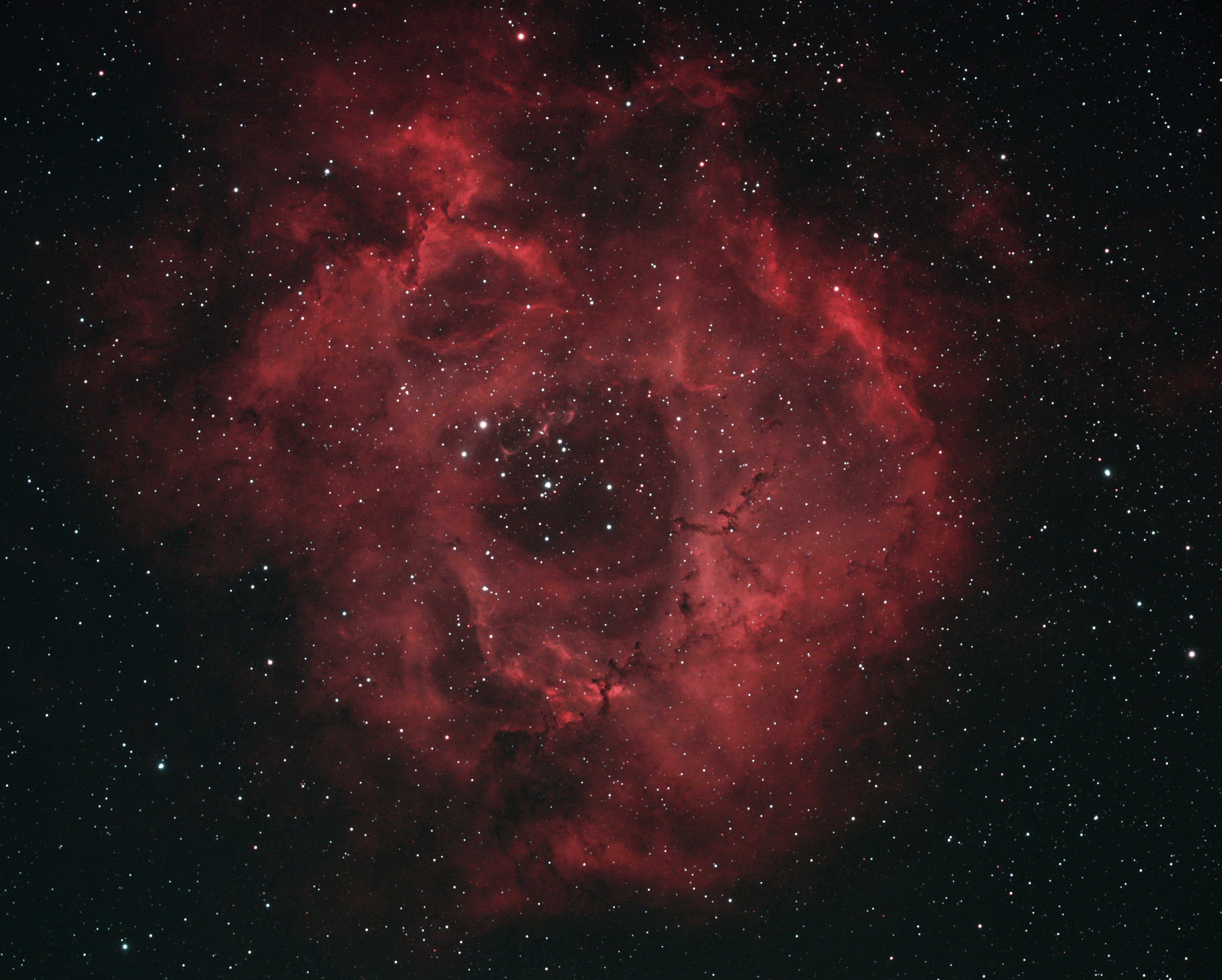 Rosette Nebula -  Caldwell 49