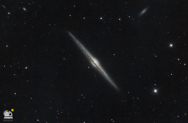 ΓΑΛΑΞΙΑΣ ΒΕΛΟΝΑ - NGC4565