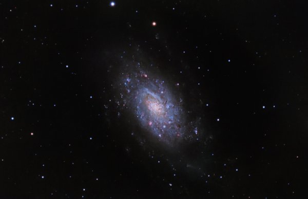 NGC 2403 Galaxy in Camelopardalis