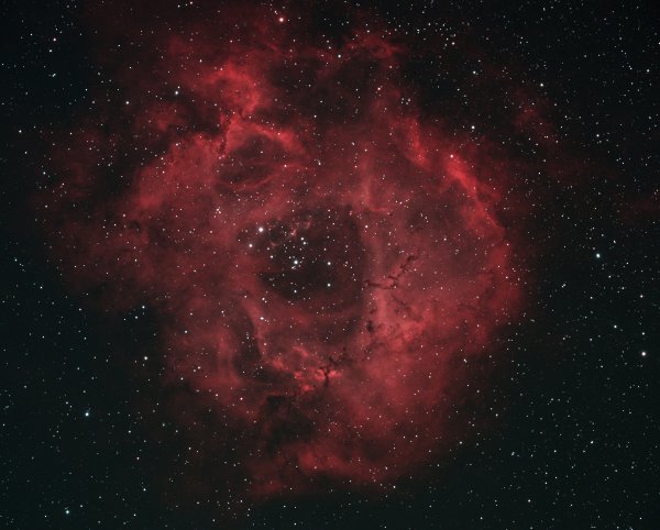 Rosette Nebula -  Caldwell 49