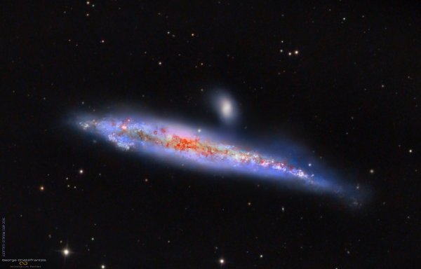 NGC 4631 Whale Galaxy