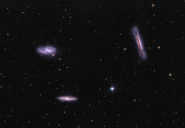 LEO TRIPLET - FINAL-2 - APR22.jpg