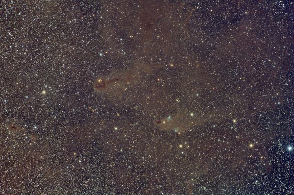 Cepheus region LDN1235 Shark nebula-LDN1251 Rotten fish nebula