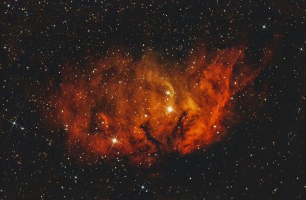 tulip nebula.jpg