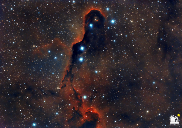 ΠΡΟΒΟΣΚΙΔΑ ΤΟΥ ΕΛΕΦΑΝΤΑ - ELEPHANT TRUNK NEBULA (IC 1396)