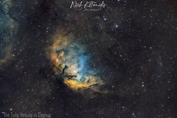 The Tulip Nebula | Sh2-101