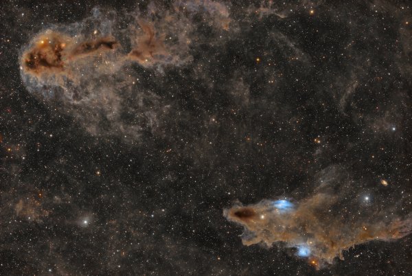 Dark Shark & Rotten Fish Nebula