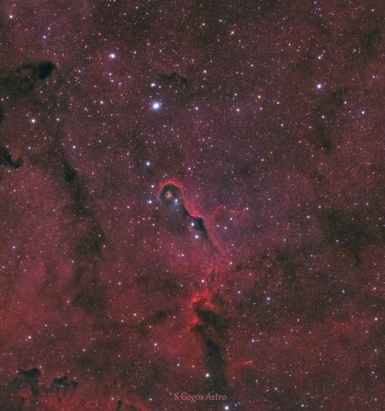 Elephants Trunk Nebula