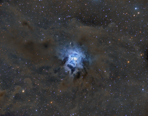 Iris nebula LRGB (LBN487, NGC7023, , LDN 1168-1170-1172-1173-1174, VdB139)