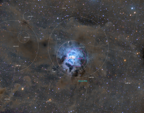 Annotated Iris nebula (LBN487, NGC7023, , LDN 1168-1170-1172-1173-1174, VdB139)