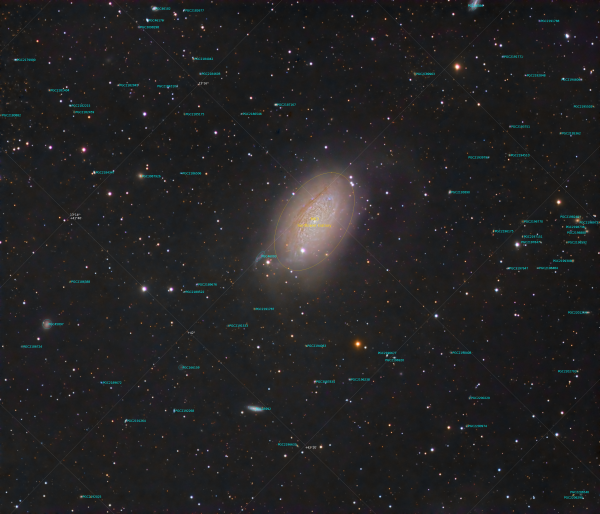 Annotated M63 (NGC 5055 Or The Sunflower Galaxy) reprocessing
