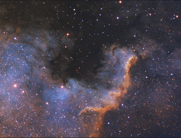 ngc7000