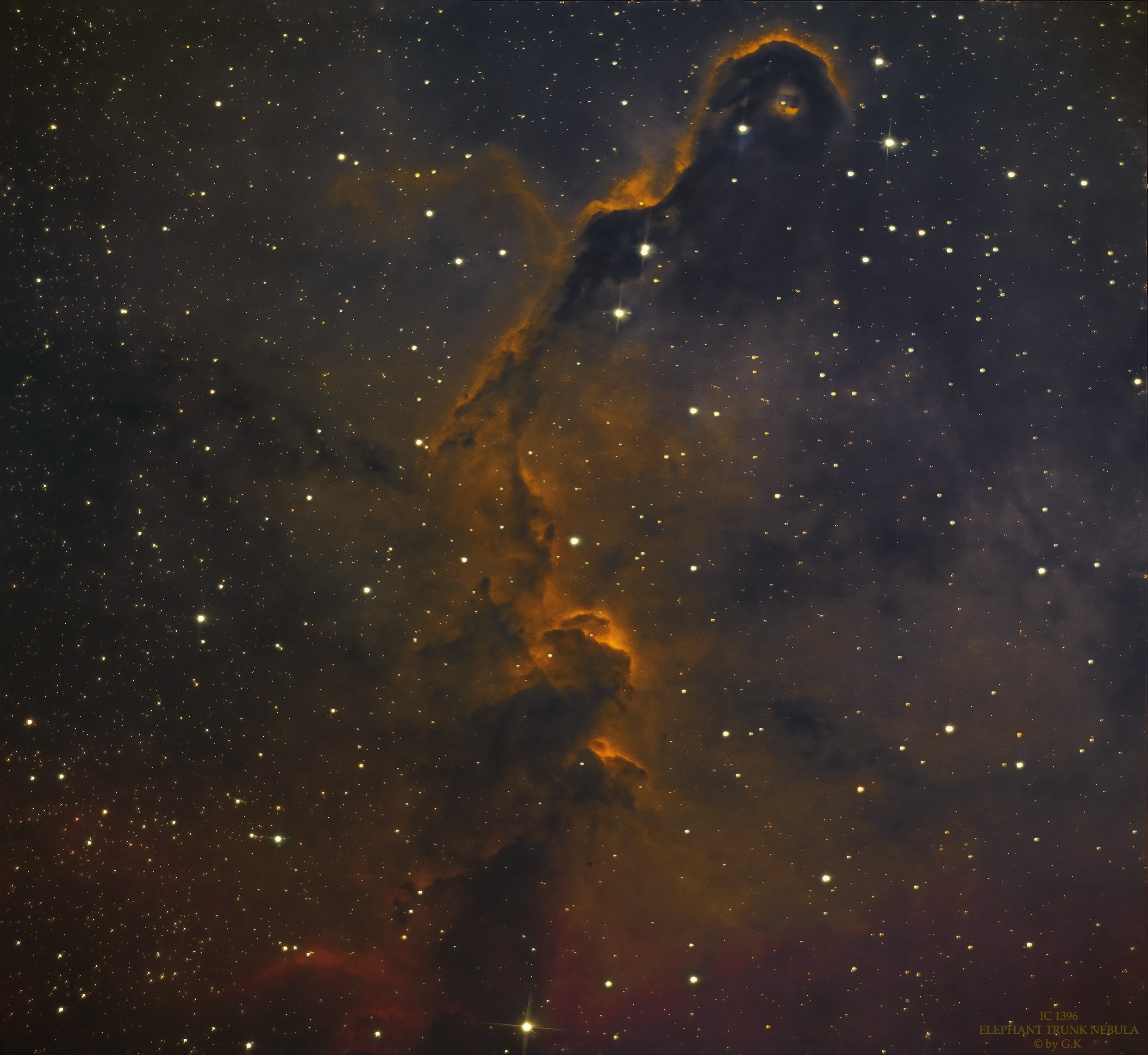 IC 1396 ELEPHANT TRUNK NEBULA.jpg